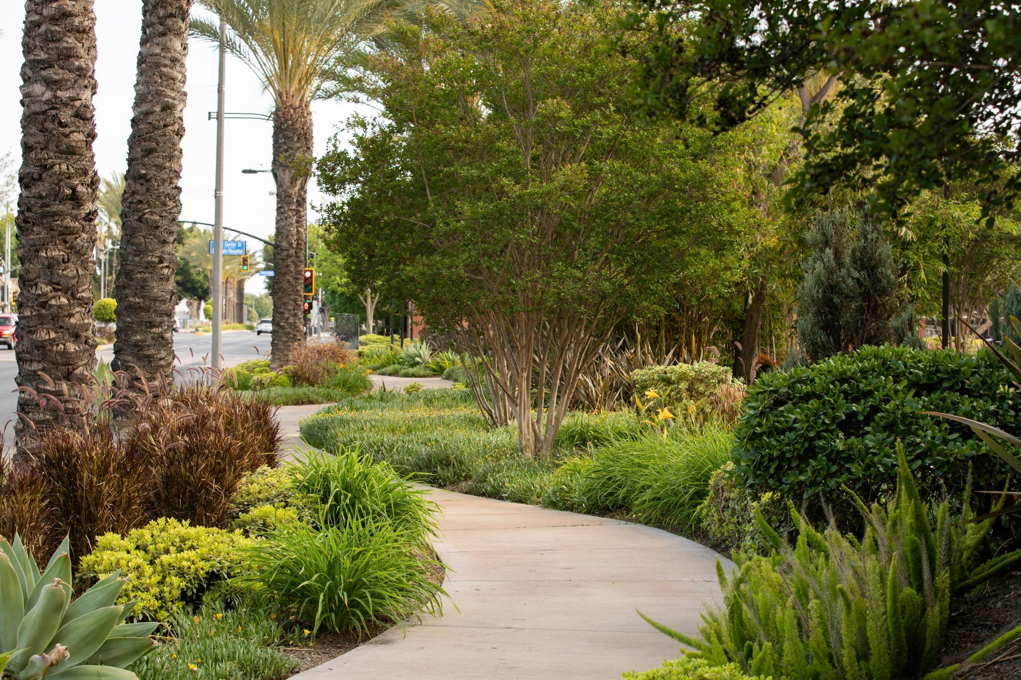 Paramount Shutterstock 2468976685 Resized